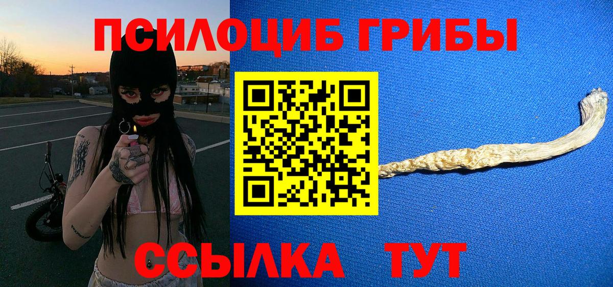 Галлюциногенные грибы ЛСД  Вход с VPN  купить  цена  Чебоксары 
